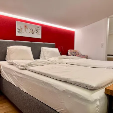 Kalina & Lian - Zell Am 公寓